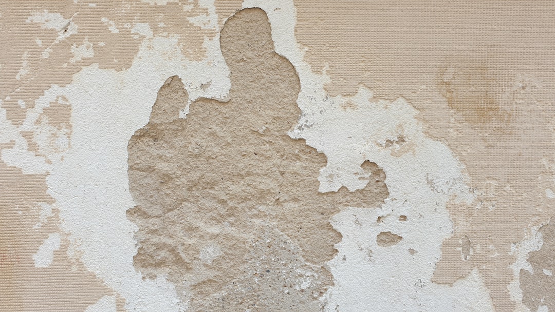 mur avec humidite