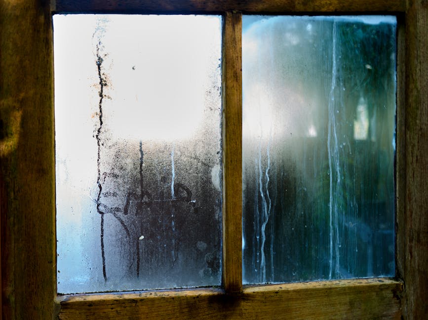 condensation fenêtre matin