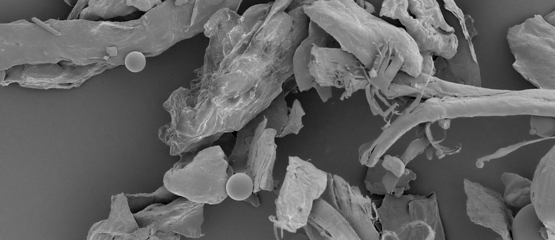 mites alimentaires