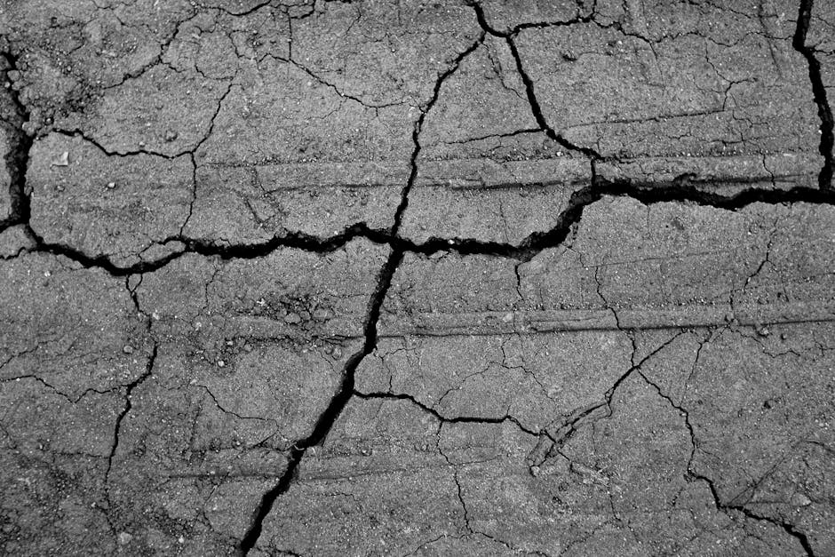 fissure mur intérieur