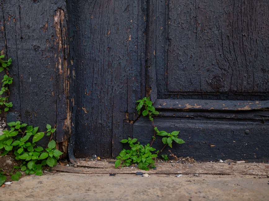 Porte qui frotte au sol