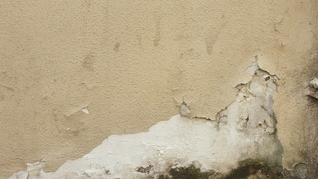 mur avec humidite