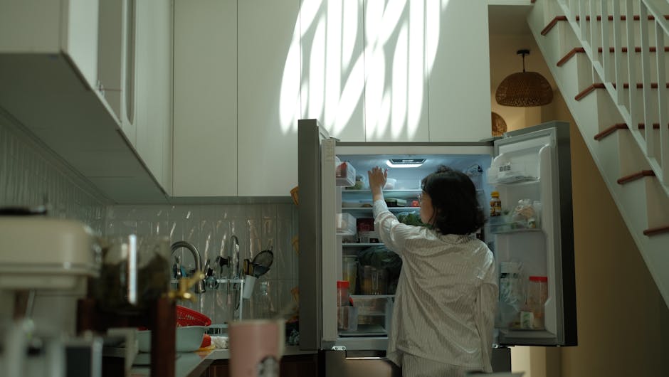 frigo