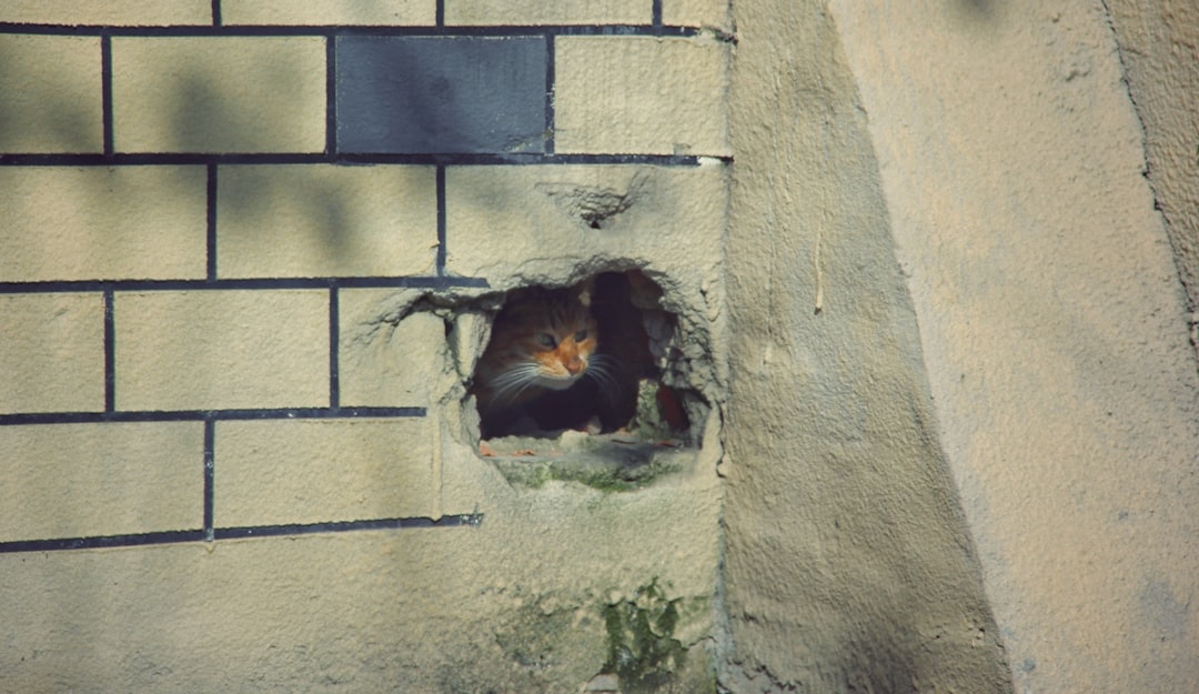 trou dans un mur en placo