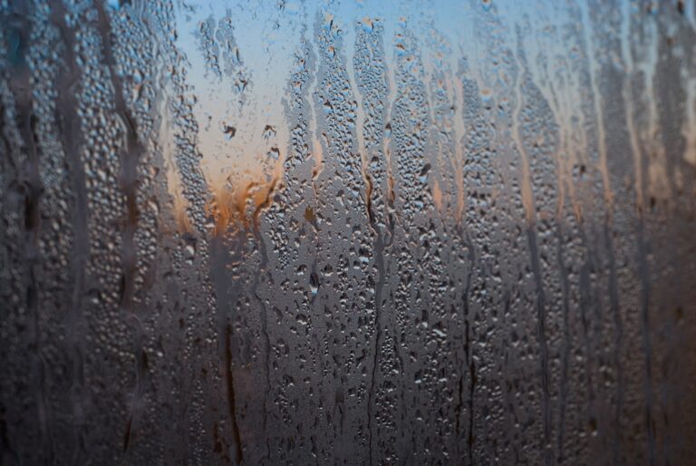 condensation fenêtre matin