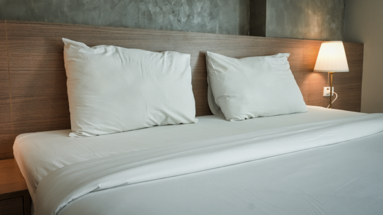 Comment se débarrasser des punaises de lit naturellement : la méthode qui a fonctionné chez moi