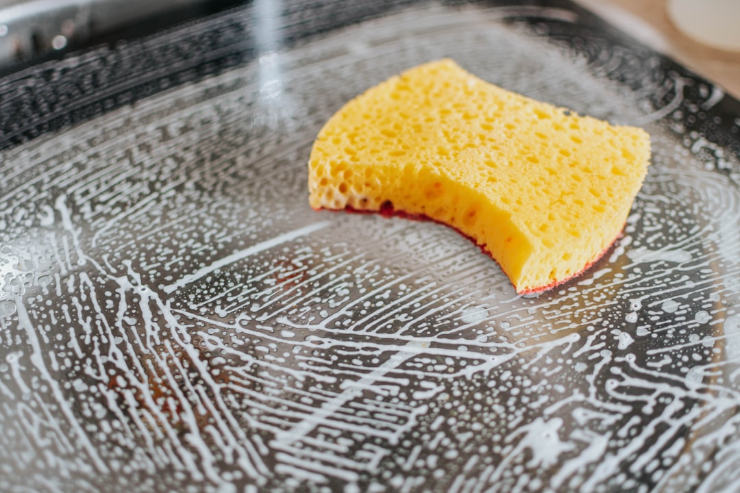 sponge cleaning oven