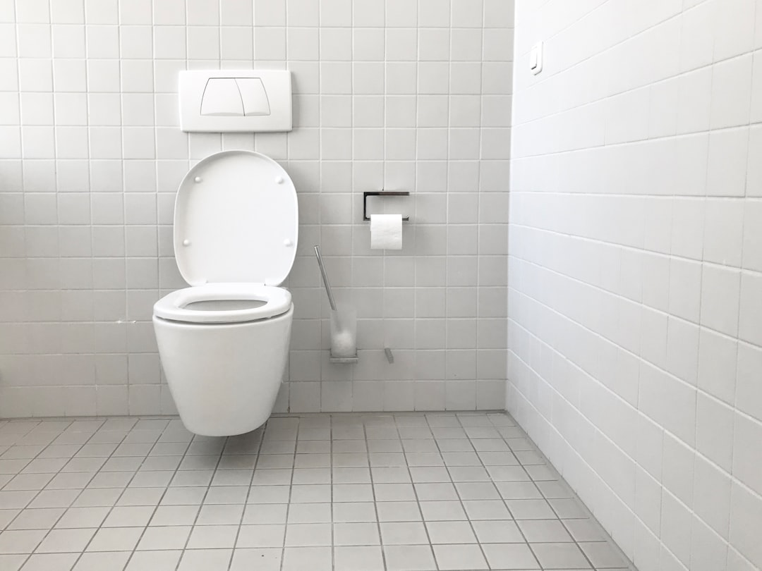 bathroom toilet plumbing