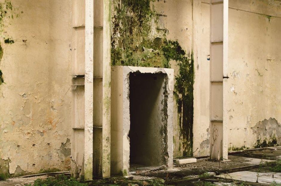 mold wall corner