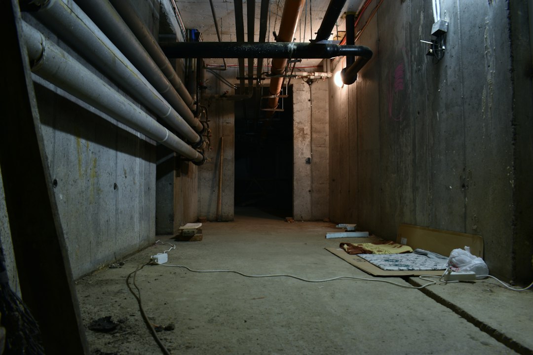 basement damp wall