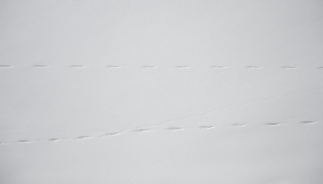 mattress seam closeup