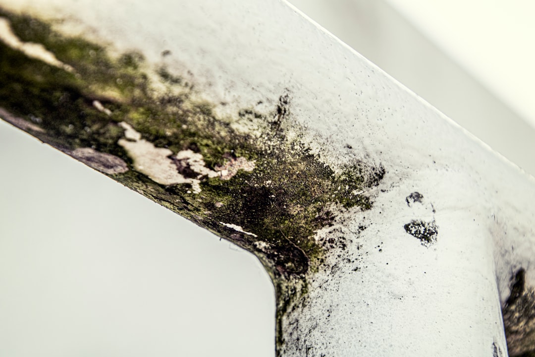 mold behind furniture