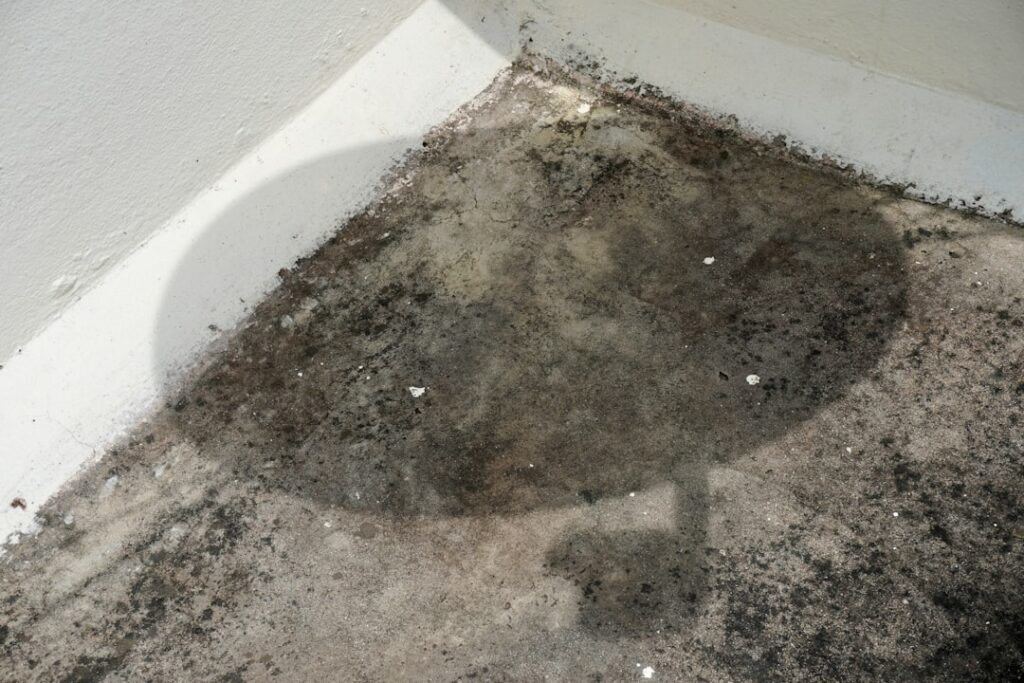 Odeur de moisi dans une pièce sans humidité visible : que faire ?