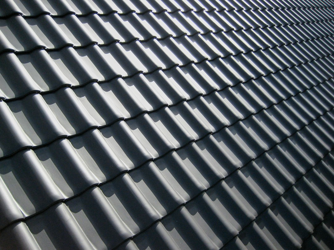 roof tiles inspection