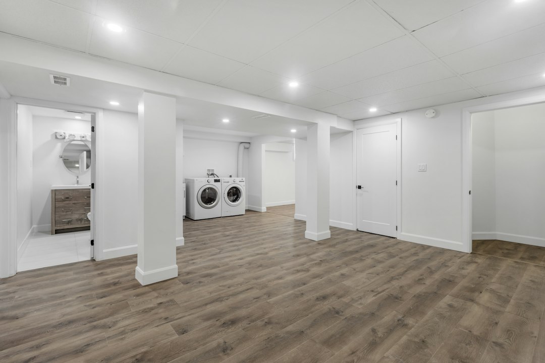 basement dehumidifier